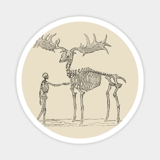 giant deer skeleton Magnet